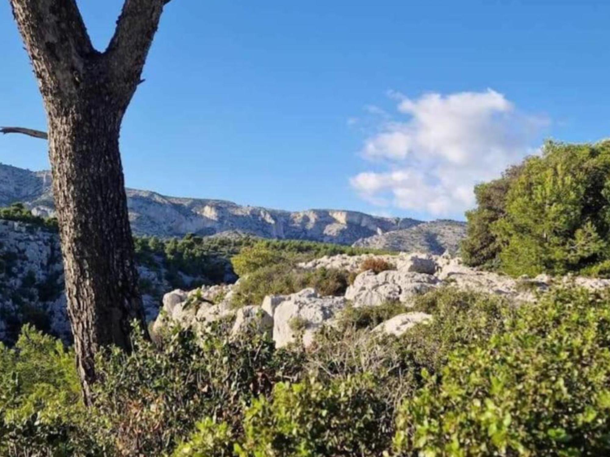 Apartamento Le Perchoir De Cassis Cocoon Exterior foto